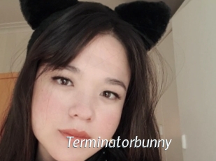 Terminatorbunny