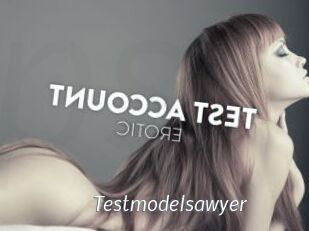 Testmodelsawyer