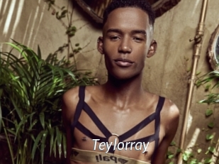 teylorray Porn Star