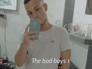 The_bad_boys_1