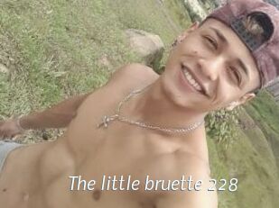 The_little_bruette_228