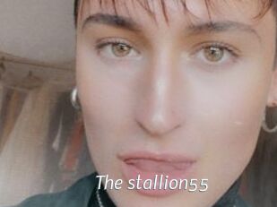 The_stallion55