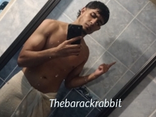 Thebarackrabbit