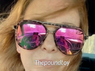 Thepoundtoy