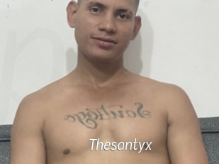 Thesantyx