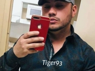 Tiger93