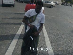 Tigrenegro