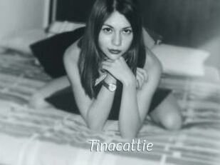 Tinacattie