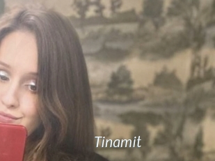 Tinamit