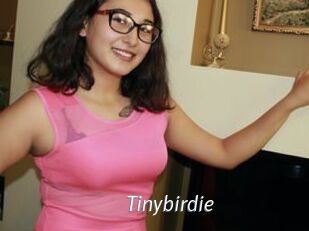 Tinybirdie