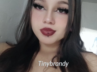 Tinybrandy
