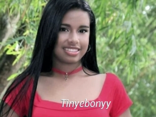 Tinyebonyy