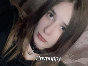 Tinypuppy