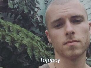 Tofu_boy