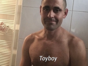 Toyboy