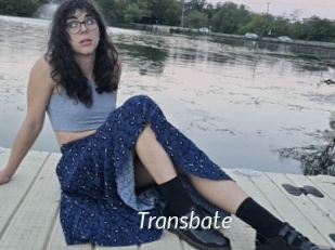 transbate Porn Star