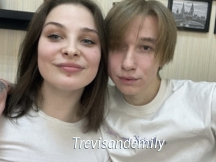 Trevisandemily