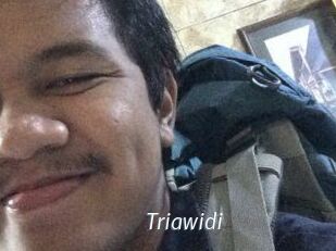 Triawidi