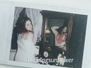 Trippingsunflower