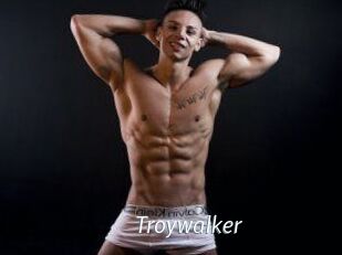 Troywalker