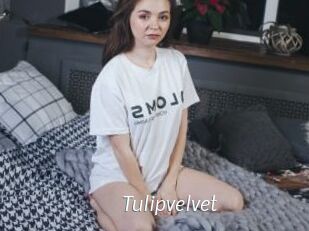 Tulipvelvet