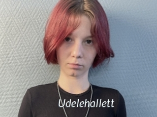 Udelehallett