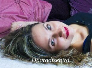 Uparadisebird