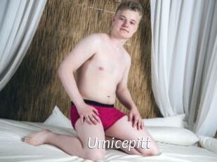 Urnicepitt