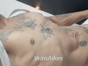 VeinsAdam