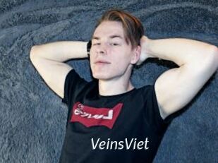 VeinsViet