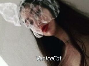 VeniceCat