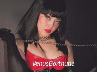 VenusBorthune