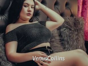 VenusCollins