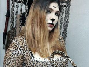 VenusDomme