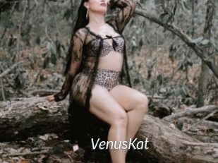 VenusKat