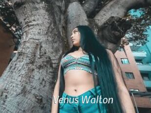 Venus_Walton