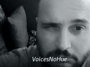 VoicesNoHue