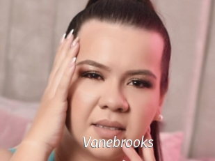 Vanebrooks
