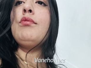 Vaneholmes
