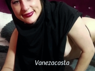 Vanezacasta