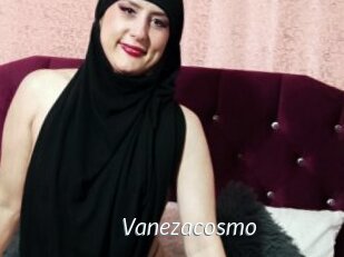 Vanezacosmo