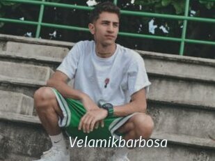 Velamikbarbosa