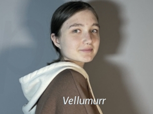 Vellumurr