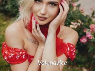 Velunavice