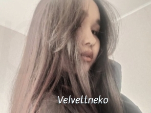 Velvettneko