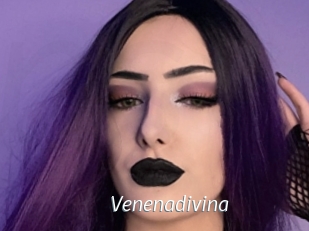 Venenadivina