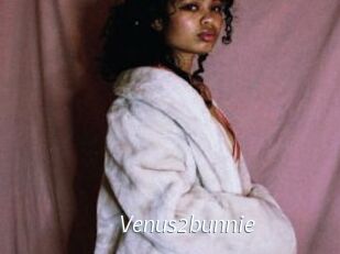 Venus2bunnie
