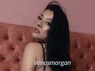 Venusmorgan