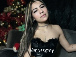 Venussgrey
