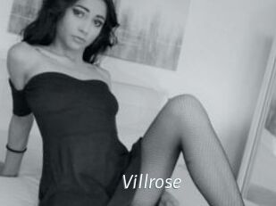 Villrose